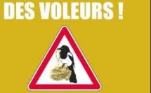 La Seine Saint Denis contre les vols à l'arraché de bijoux en or