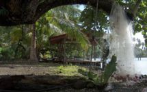 Le travail et Nini la Souris polynésienne