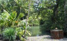 Le travail et Nini la Souris polynésienne (la suite)