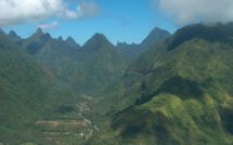 Le Tsunami et Nini la Souris polynésienne