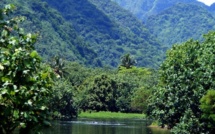 La famille d'accueil de Nini la Souris polynésienne