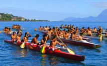 Stafilo le coq et Nini la Souris polynésienne