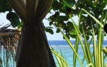 La mise au point et Nini la Souris polynésienne