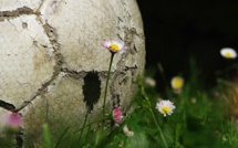 La Black list du PSG