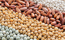 Cumul des mandats : des conseillers de Paris PS dans la ligne de mire du Maire de Paris