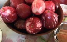 Les conditions générales de service et d'utilisation du site www.maohitribune.com