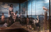 Refurbished Musée de la Chasse et de la Nature due to open