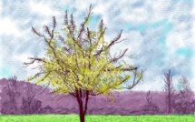 David Hockney : The Arrival of Spring at the Royal Academy of Arts, London