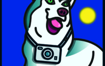 18th Photo festival La Gacilly 