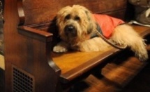 Démolition de l’Eglise Sainte Rita : une conspiration du silence ?