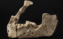 Le Paris Mésolithique au Musée Carnavalet