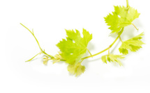 Le conseil du 17e arrondissement de Paris veut défendre le quartier des Epinettes contre Fox News