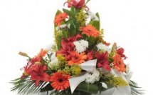 UMP, une mort programmée