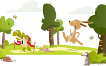 Panne de campagne au PS