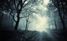 Le Bois de Boulogne et les demandes de permis de construire