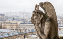 Le père alerte la police pour faire hospitaliser son fils fiché S