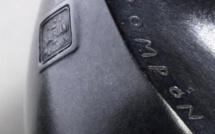 François Pompon, une valeur sûre