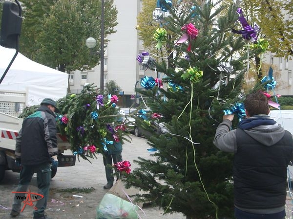Sapins de Noël rue Sorbier