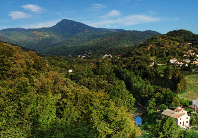 Libertà 2013 Data en Prijzen