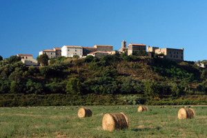 PROGRAMMA Libertà 08 d. (18-25 mei 2013)