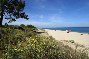 PROGRAMMA Libertà 08 d. (18-25 mei 2013)