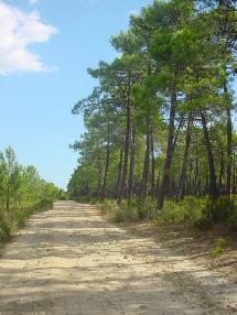 Pinia : une perle de la méditerrannée