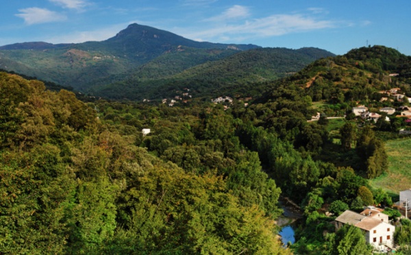 Libertà 2013 Data en Prijzen