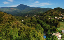 Libertà 2013 Data en Prijzen