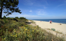 DATA en PRIJZEN A NATURA 2013