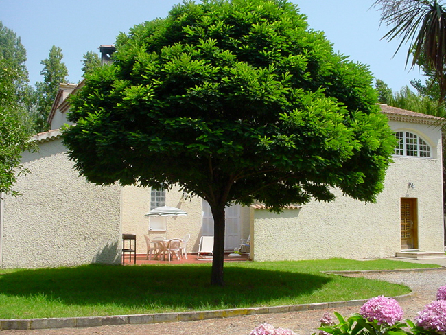 Gîte - Appartement pour 4 à 6 personnes