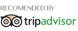 tripadvisor