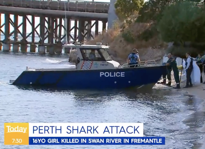 ​Australie : une adolescente tuée par un requin dans une rivière
