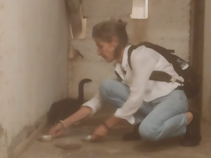 Chaque jour, Patricia fait le tour de son quartier à Saint-Denis de La Réunion pour donner à manger à des chats sans propriétaire