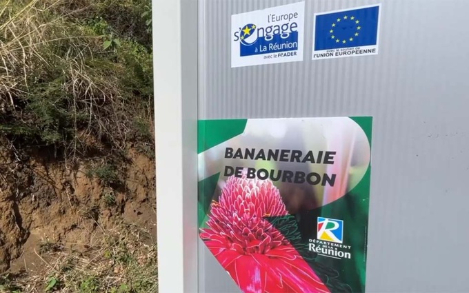 Vidéo - Coup de projecteur sur une réussite familiale saint-leusienne : la Bananeraie bio de Bourbon