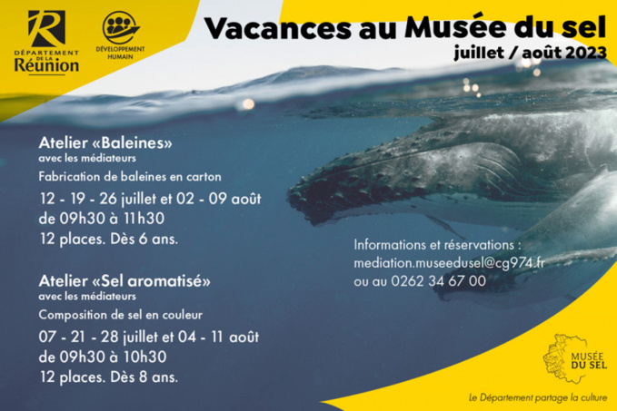 Programme vacances au Musée du sel - juillet / août 2023