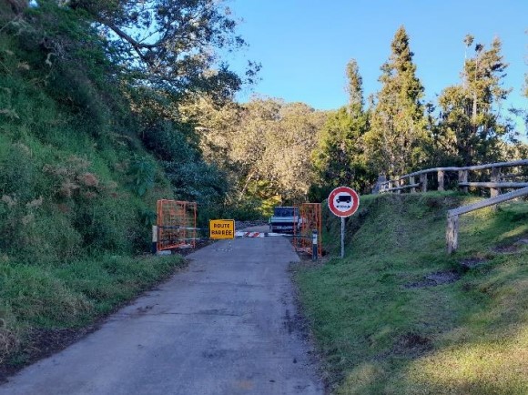 La route forestière des Tamarins fermée pour travaux