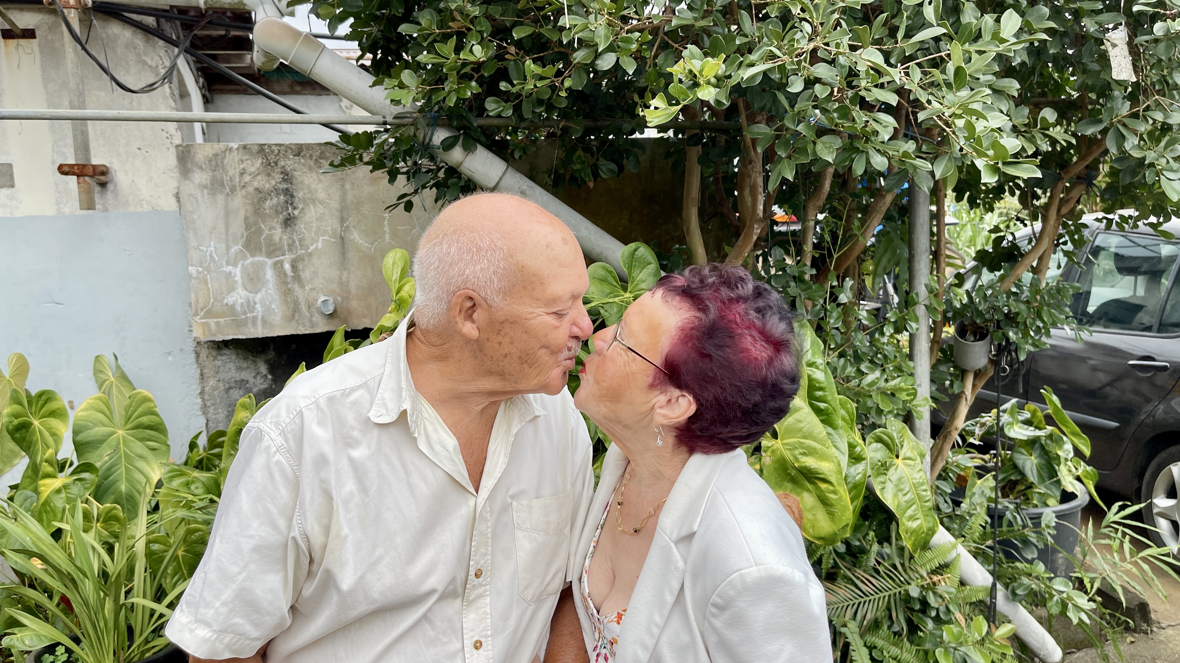 Noces de Palissandre : 65 ans de mariage pour les époux Bourbon