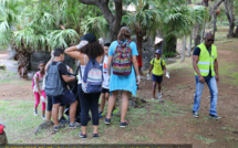 Des élèves du Collège Joseph Suacot se mobilisent pour une opération de protection du site de Grande-Anse