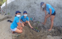 Saint-Leu : Des élèves sensibilisés à l'importance des veloutiers sur la plage