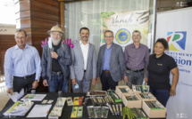 Vidéos - La vanille de La Réunion devient le 1er produit du terroir labellisé IGP