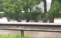 Vidéo : Un bus pris au piège par les inondations à Maurice