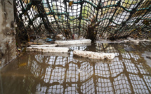 Mayotte: Des filets pour retenir les déchets avant le lagon pour la saison des pluies