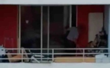 Vidéo - Un malinois vivant en permanence sur un balcon se fait frapper régulièrement par son propriétaire