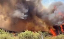 Chili : Des incendies hors de contrôle sèment la mort sur leur passage