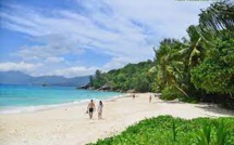 Seychelles : Un requin citron blesse grièvement un jeune touriste français