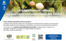 Le Département célèbre les Journées Internationales des Forêts