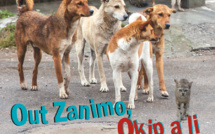 Campagne de stérilisation : "Out Zanimo, Okip a li"