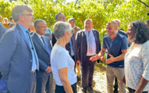 Visite de la Première ministre : 10 millions d’euros pour la filière fruits et légumes dans les Outre-mer