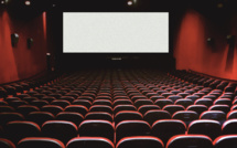 Adoption au Sénat de la proposition de loi pour garantir l'accès au cinéma dans les Outre-mer