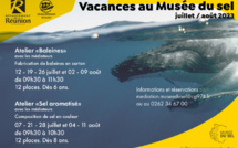 Programme vacances au Musée du sel - juillet / août 2023